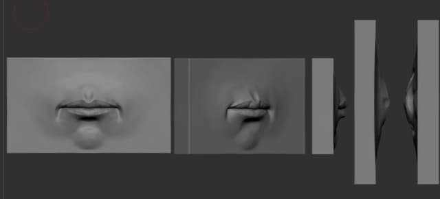 Mouths anatomy studies