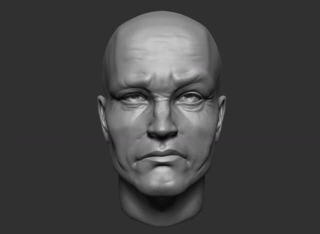 A head from life